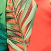 Laranja-EFOLHA