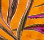 E7044-Laranja